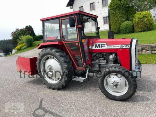 Massey Ferguson 245 opinie i specyfikacja