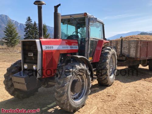 Massey Ferguson 3525 opinie i specyfikacja